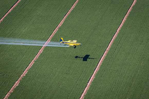 Crop Duster Airplane Spraying Photo by John A. Ferrante